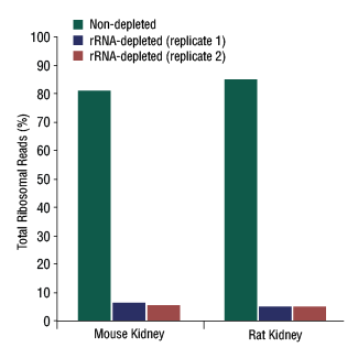 Figure 6. rRNA Depletion Efficiency on Mouse and Rat RNA