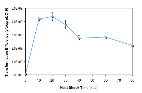 Effect of heat shock time on NEB 10-beta competent E. coli transformation efficiency: 