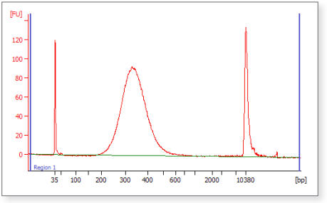 Figure 2: Final Library size distribution using AMPure XP Bead Size Selection.