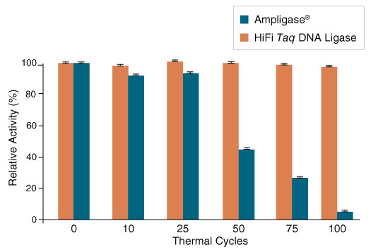 HiFi Taq DNA Ligase exhibits increased thermostability