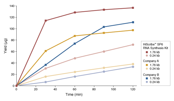 NEB HiScribe SP6 RNA Synthesis Kit: Comparison of RNA yields
