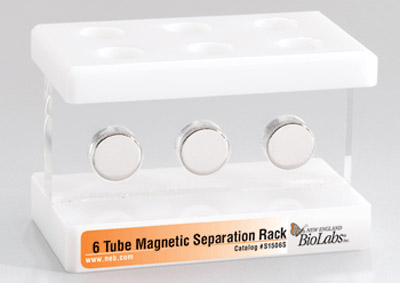 6-Tube Magnetic Separation Rack