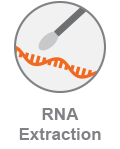 COVID_RNAExtraction_Category