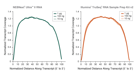 Nondir_RNA_Transcript_Figure1