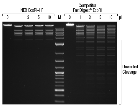 Neb Enzyme Buffer Chart