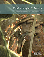 Cellular Imaging & Analysis Brochure