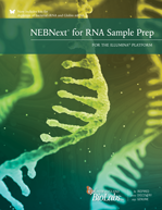 NEBNext For RNA Sample Prep