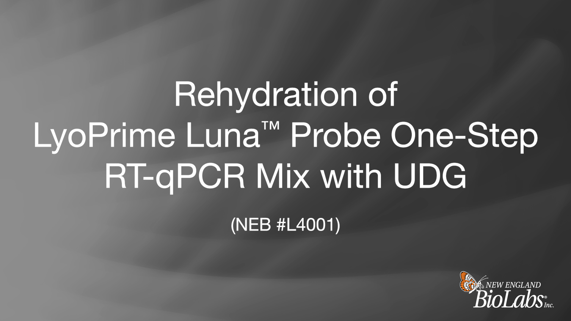 Reconstitution of LyoPrime Luna™ Probe One-Step RT-qPCR Mix with UDG