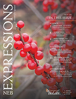 Expressions Issue III 2019