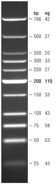 Low Molecular Weight DNA Ladder NEB.