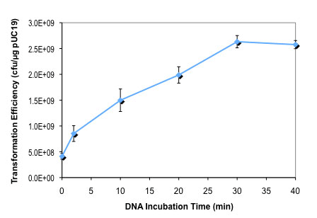 Effect of DNA incubation time on NEB 10-beta competent E. coli transformation efficiency:  