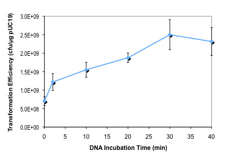 Effect of DNA incubation time on NEB Express Iq competent E. coli transformation efficiency: