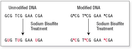 Figure 1. Overview of Bisulfite Conversion Reaction