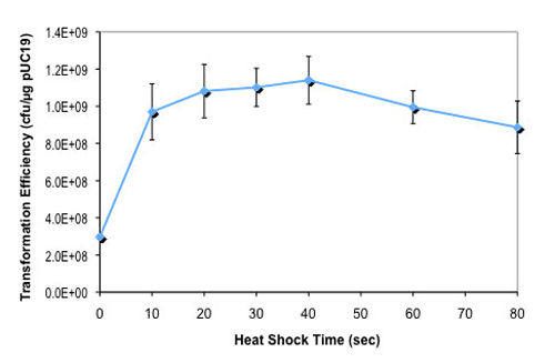 Effect of heat shock time on NEB Turbo competent E.coli transformation efficiency:
