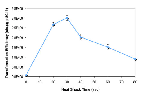 Effect of heat shock time on NEB 5-alpha F´Iq competent E.coli transformation efficiency: 