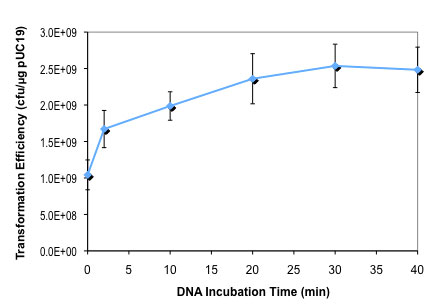 Effect of DNA incubation time on T7 Express lysY competent E.coli  transformation efficiency