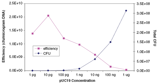 DNA Effects of Transformation Efficiency and Colony Output: 