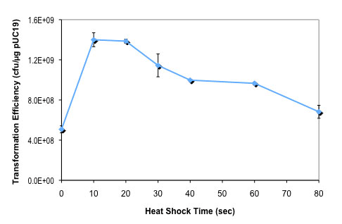Effect of heat shock time on T7 Express competent E. coli transformation efficiency