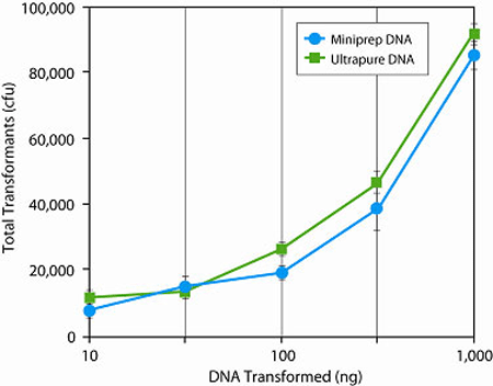 Effect of DNA Purity on Transformation Efficiency and Colony Output: